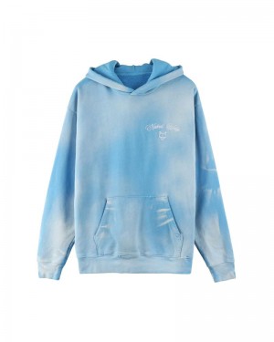 Blue Naked Wolfe Signature Vintage Men's Hoodie | DUBLIN 3271589GL
