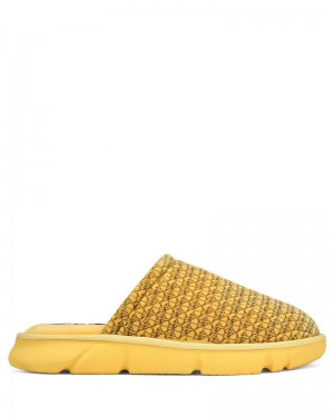 Yellow Naked Wolfe Ohio Men's Slippers | IRELAND 0651432JQ