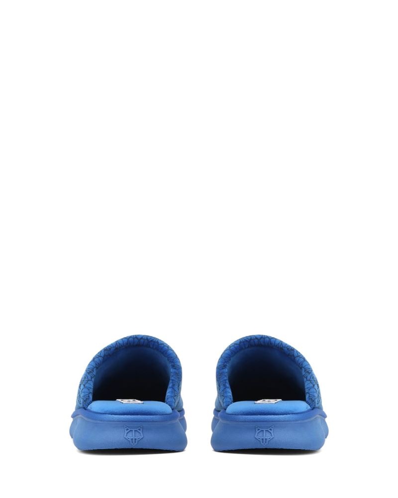 Blue Naked Wolfe Ohio Men's Slippers | IRELAND 2479365VB