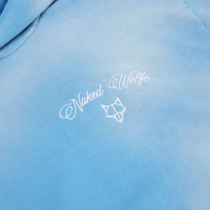 Blue Naked Wolfe Signature Vintage Men's Hoodie | DUBLIN 3271589GL