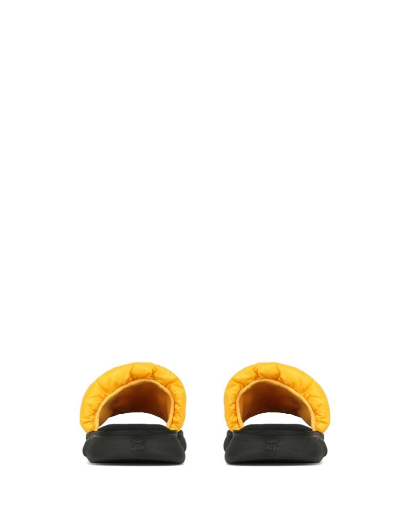 Yellow Naked Wolfe Coasting Men's Slides | DUBLIN 5304781RC